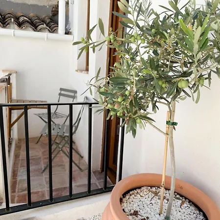Apartamento Casa Oliveta - Boutique